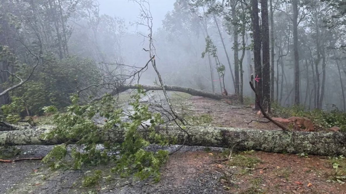 Isaisa tracker: Georgia sees high winds, flash flood threat Saturday