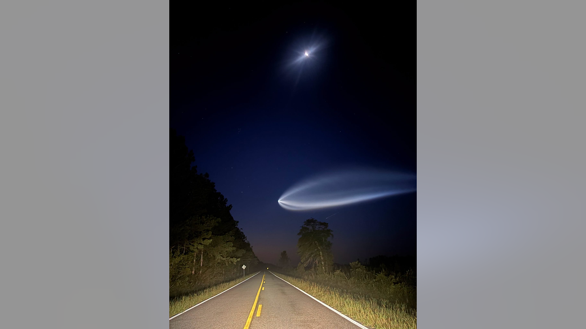 Look up: A ‘space jellyfish’ could appear over North Georgia
