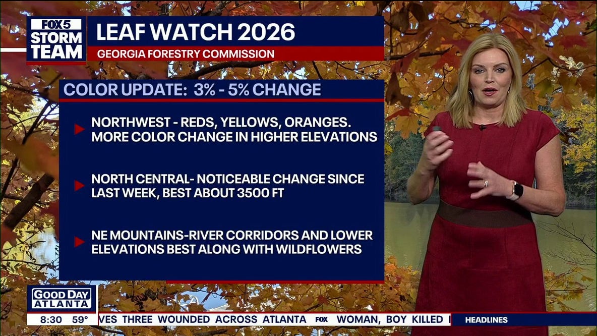 Georgia Leaf Watch: Early fall color emerges across North Georgia