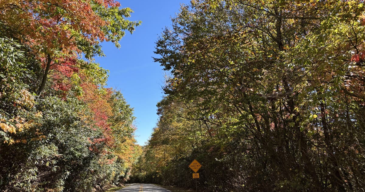 Leaf Watch 2026: Fall color increasing in North Georgia mountains