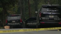 Teen shot in head, second person wounded in DeKalb shooting