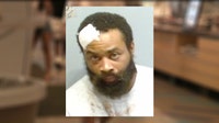 Man attacks GSU employee with chair inside campus dining hall