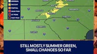 Georgia leaf watch: First fall colors peek through the green