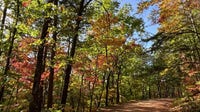 Leaf Watch 2026: North Georgia fall colors near peak in coming weeks