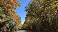 Leaf Watch 2026: Fall color increasing in North Georgia mountains
