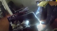 Brothers face drug charges after 17-pound marijuana bust