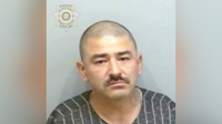 Felon admits to firing shots, burying gun in southwest Atlanta: police