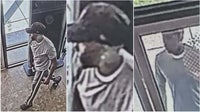 Sunglasses worth $5K stolen from North Georgia outlet mall