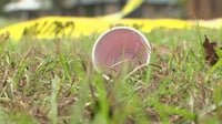 Georgia mass shooting: 2 dead, 35 wounded, no arrests