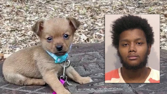 Decomposed pet found on Cartersville doorstep, man arrested
