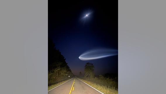 Look up: A ‘space jellyfish’ could appear over North Georgia