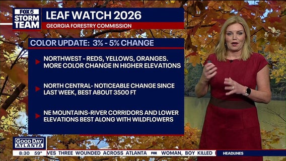 Georgia Leaf Watch: Early fall color emerges across North Georgia