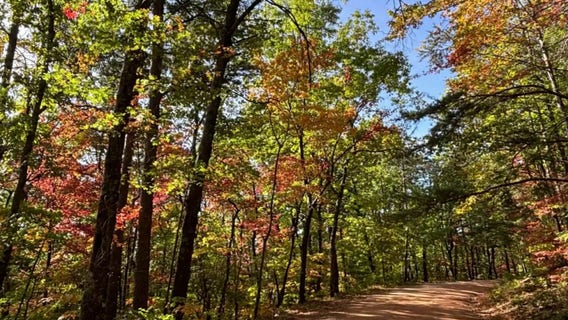 Leaf Watch 2026: North Georgia fall colors near peak in coming weeks