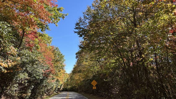 Leaf Watch 2026: Fall color increasing in North Georgia mountains