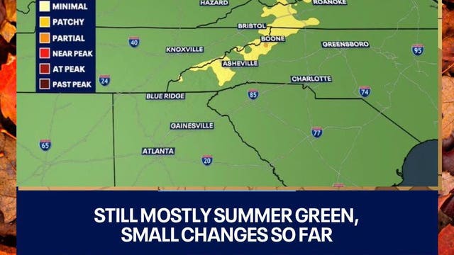 Georgia leaf watch: First fall colors peek through the green