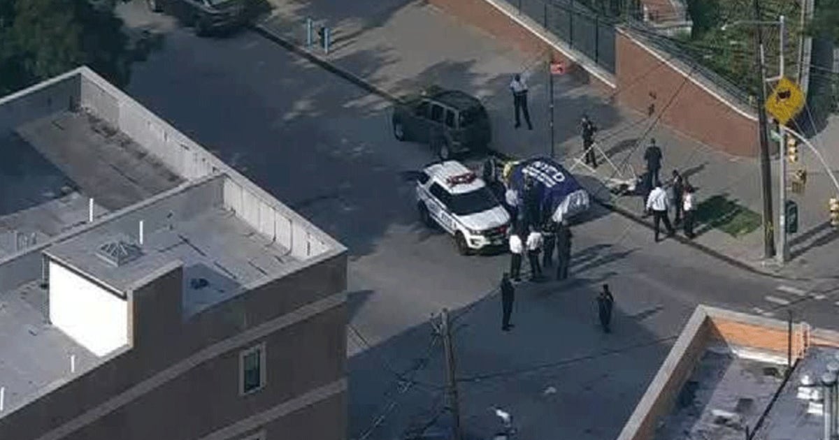 Wife defends father in deaths of twins he left in hot car in NYC | FOX 5 DC
