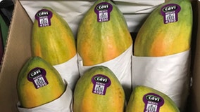 FDA: Seller 'refuses' to recall papayas linked to salmonella outbreak