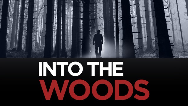 Missing Pieces: Into the Woods, Episode 6: Epilogue