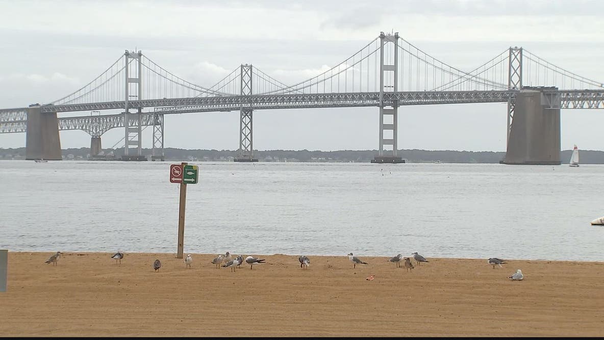 Chesapeake Bay earns C+ grade, reaching highest health score in 40 years