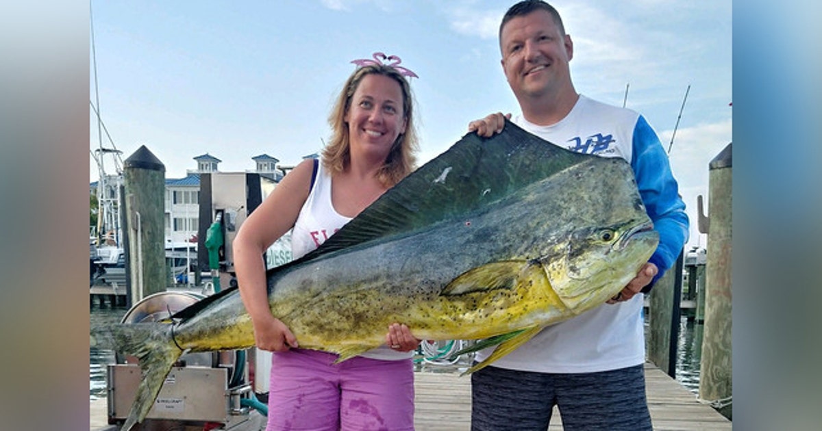 record-setting-mahi-mahi-