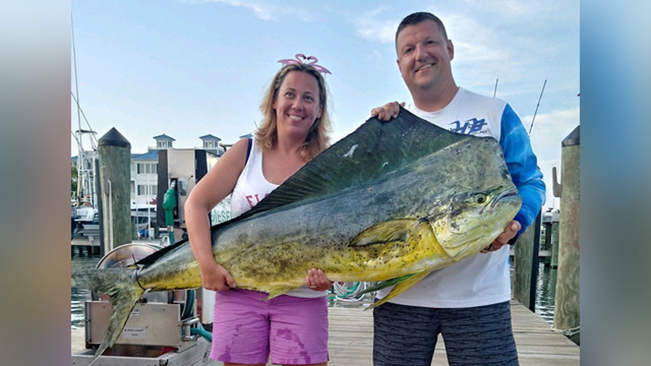 Anne Arundel County woman catches record-setting mahi mahi off