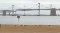 Chesapeake Bay report card: C+ grade marks highest health score in 40 years