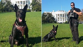 Ex-Secret Service dog credited with saving Obama from White House intruder to receive British award