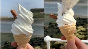 Man shocked as seagull steals his ice cream at beach, hilarious photos show