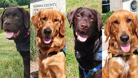 Fairfax County Police launches first service dog program to support for cops, first responders