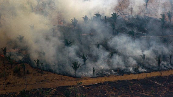 G-7 countries commit $20 million to help fight Amazon wildfires