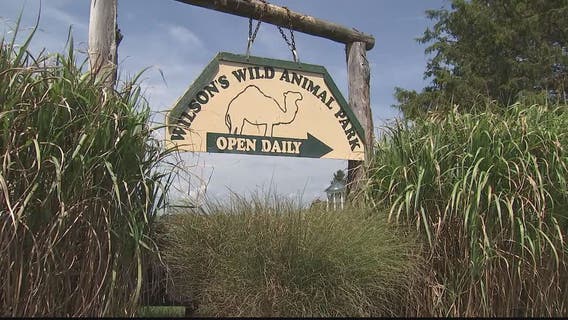 Judge rules exotic animals seized from Virginia zoo were treated cruelly, neglected