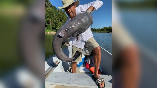 Man catches 53-pound catfish in Potomac River