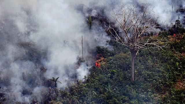 The causes and risks of the Amazon fires