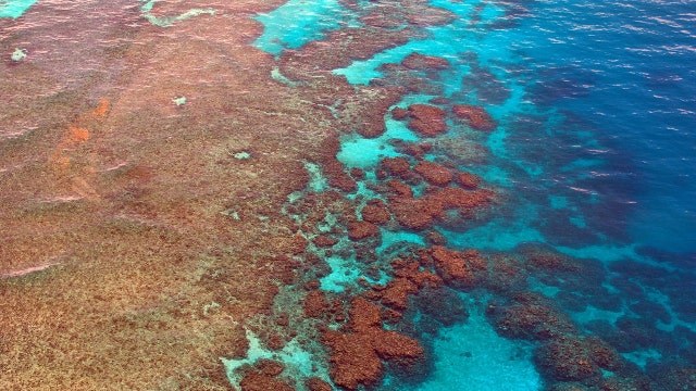 Australia lowers Great Barrier Reef outlook from 'poor' to 'very poor'