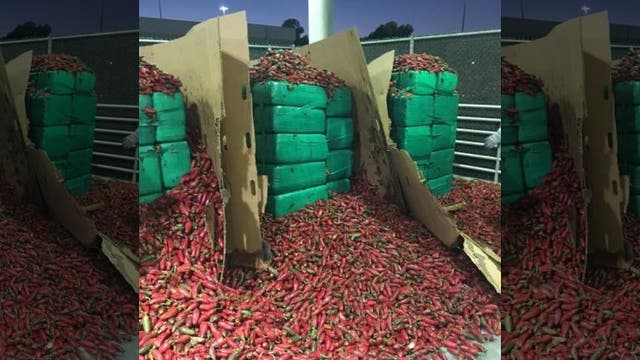 CBP officers seize $2.3 million worth of marijuana found inside shipment of jalapeño peppers