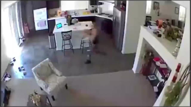 Pet sitter caught on video slamming puppy to the ground
