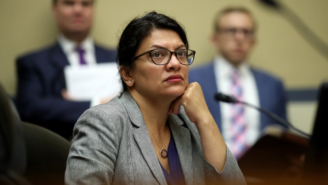 Democratic congresswoman Rashida Tlaib says she won't visit West Bank relatives