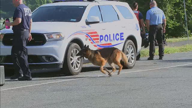 Search for human remains continues: DC Fire and EMS cadaver dog returns to help after injury