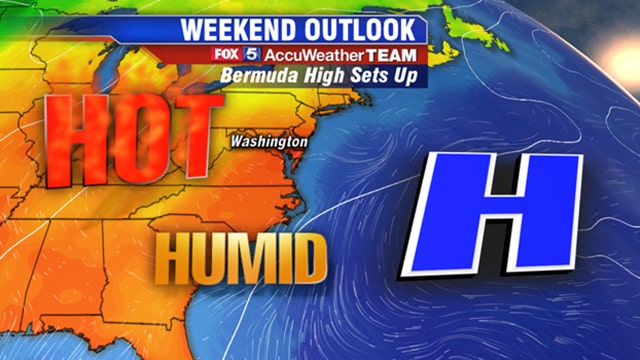 Dog days of summer set in as another heat wave eyes DC region