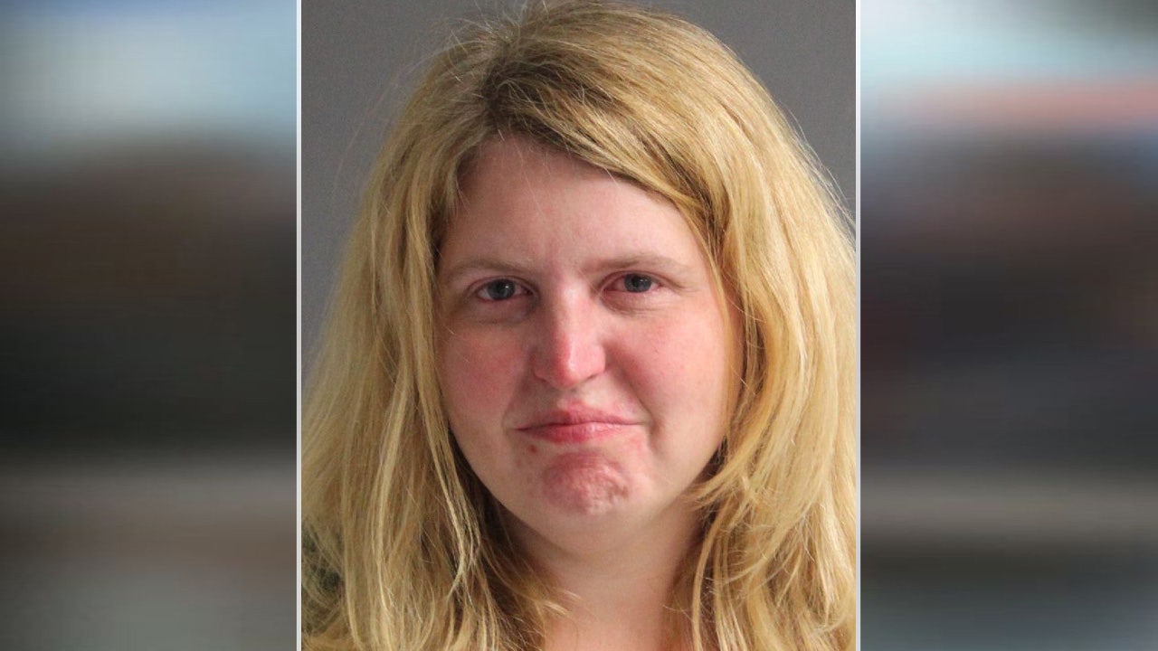 School bus driver faces DUI charges after found slumped behind wheel of bus in Anne Arundel County, police photo