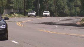 Alexandria City Council to consider options for Seminary Road project