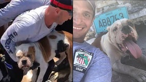 Gainesville firefighters rescue dog trapped under rubble in Bahamas after Hurricane Dorian