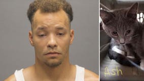 Man accused of putting wet kitten inside a freezer and slamming another kitten’s head into the floor