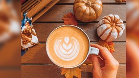 Pumpkin spice favored over chocolate by nearly half of Americans, study finds