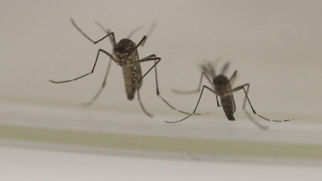 DC-area Maryland resident diagnosed with West Nile Virus