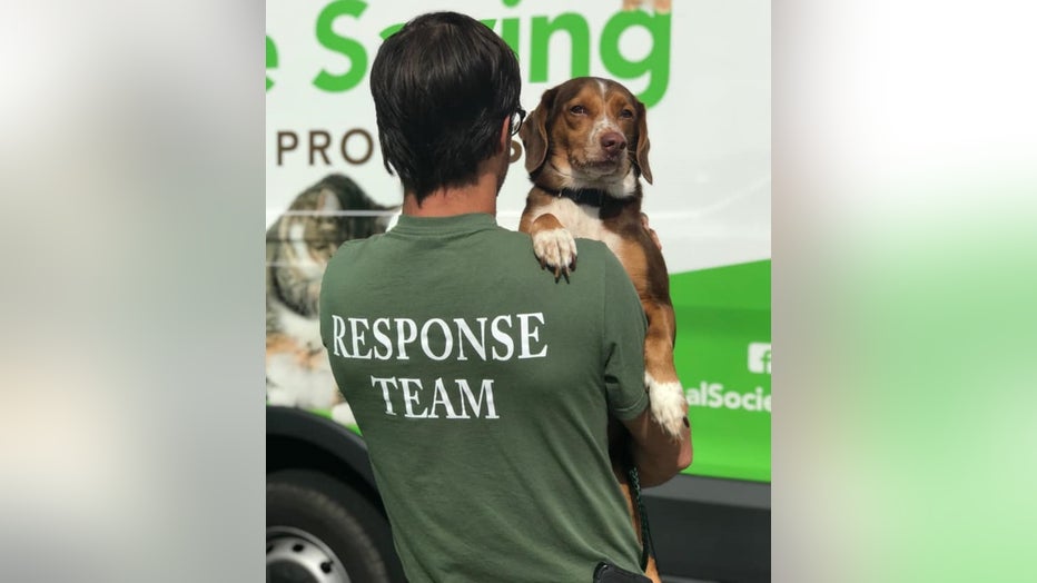 charleston_animal_society_dorian_rescue.jpg