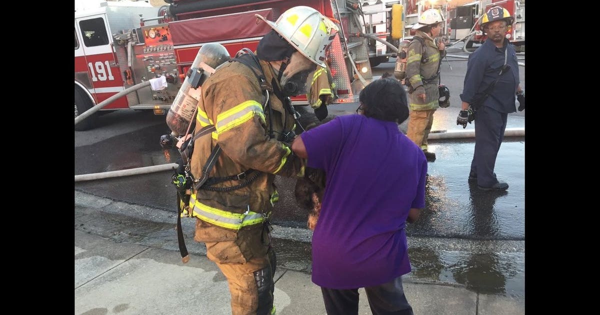 Firefighters rescue dog from Bowie home on fire | FOX 5 DC