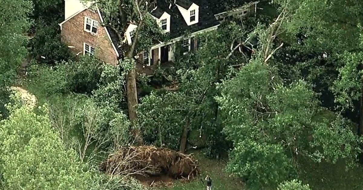Severe storms bring down trees, cause flooding in DMV | FOX 5 DC