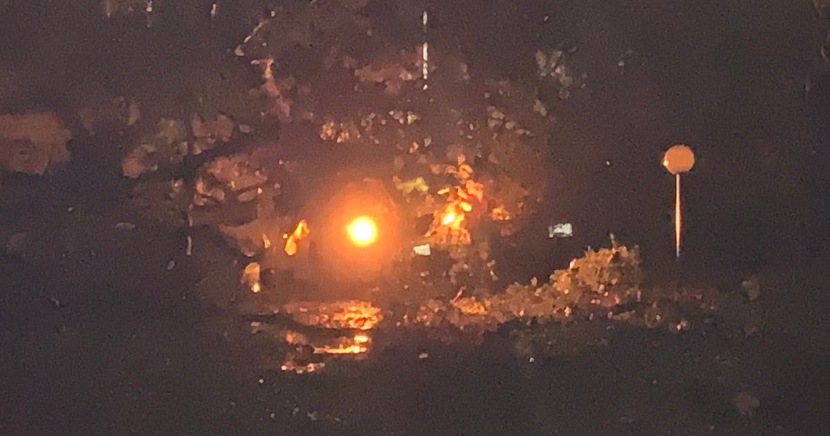 Montgomery County woman dies after tree slams car in Colesville | FOX 5 DC