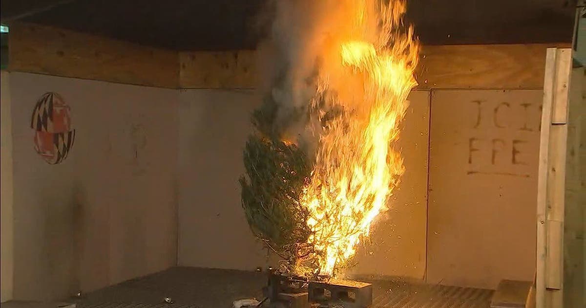 Tree Cold Pyro Christmas tree fire safety demonstration shows how quickly trees can ...